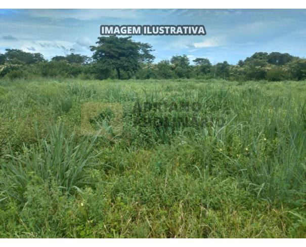 Foto de Fazenda Mucambo 159,76 hectares