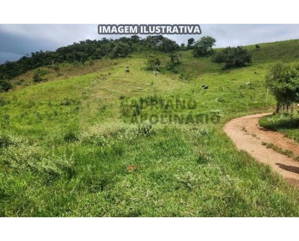 Foto de Fazenda de 14,9 ha em Jesuânia
