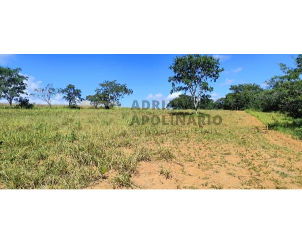 Foto de Fazenda São Braz e Almas de 485 ha