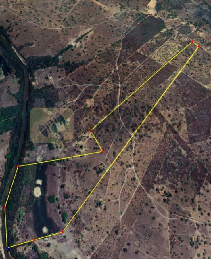 Fazenda em Lagoa dos Patos/MG Leilão Judicial - Fazenda em Lagoa dos Patos/MG, localizado em Lagoa Dos Patos - MG