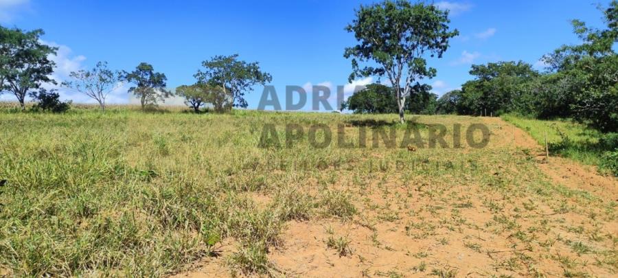 Fazenda São Brás e Almas de 485 ha Leilão Judicial - Fazenda de 485 hectares, localizado em Lagamar - MG